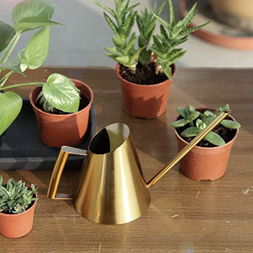 Ubersweet® Watering Can, 400ml/900ml/1500ml Stainless Steel Sprinkle Pot Long Mouth Garden Flowers Plants Flower Watering Tool for Indoor Outdoor Gardens Agriculture(400ml-gold)