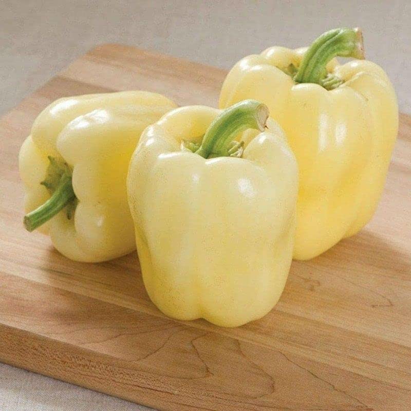 Radha Krishna Agriculture® Imported Capsicum Vegetable Seeds | White Capsicum Seed For Your Home Garden Pack of 30 Gram Seeds