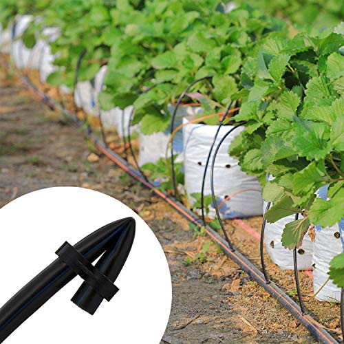 Pinolex Drip Irrigation End Caps: The simple solution for a thriving garden