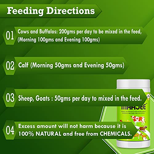 MAAJEE Animal Feed Supplement Minerals Mixture - Improvement in Milk Fat & SNF Content | Weight Gainer for All Animals Pack of 6 (908gm Each)