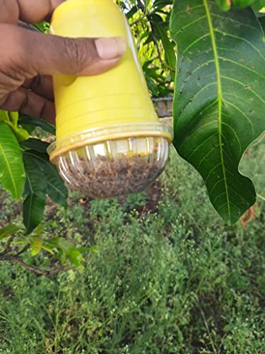 फ्रूट फ्लाई कीट फेरोमोन ट्रैप, डिस्पोजेबल ग्लास ट्रैप, फ्रूट फ्लाई और मेलन फ्लाई के लिए उपयोग किया जाता है (50)
