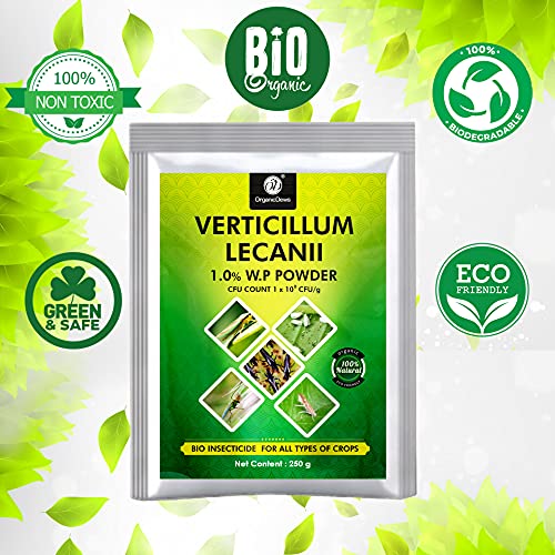 OrganicDews Verticillium lecanii (1x10^8 CFU/g) (250 g) for Plants - Against Sucking Insects Like Aphids, Thrips and Whiteflies 250 g