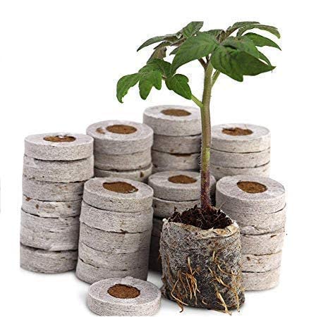 Agro Labs 80 प्लांटर हाइड्रोपोनिक NFT किट घर/बाहर हरे रंग के लिए