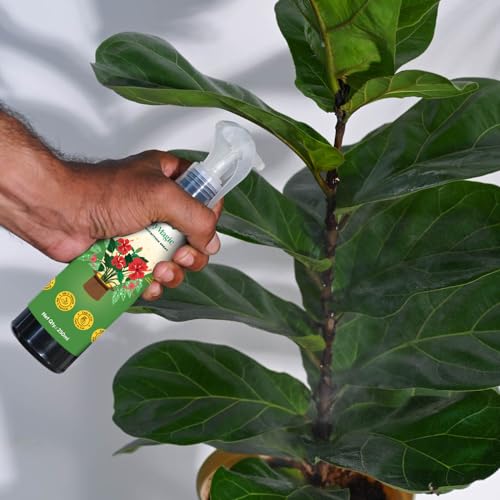 UGAOO Premium MealyMagic Bug Killer Spray For Plants - Powerful Bug Removal Spray - 250 ML