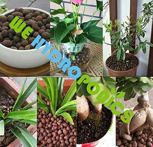 WE Hydroponics Clay Balls LECA/Hydrotons/Clay Rock - 4 Liter Bag (appx 1 kg) for Soilless Farming, Floating Pebbles