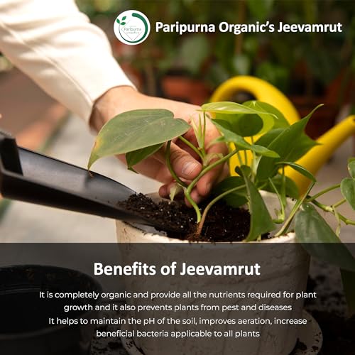 परिपूर्णा ऑरगॅनिक्स जीवनमृतम सेंद्रिय वनस्पतींची वाढ आणि प्रतिकारशक्ती वाढवणारे नैसर्गिक वनस्पती सर्व वनस्पतींसाठी द्रव खत (३४)