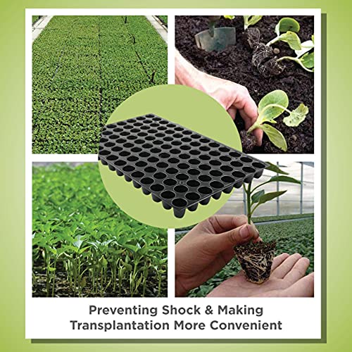 PLANT CARE Seed Starter Kit, 99 Cell Seedling Trays Gardening Germination Plastic Tray Nursery Pots Mini Propagator Plant Grow Kit Plug Tray for Seedling Germination (99 Cavity- 0.95mm)- Pack of 25