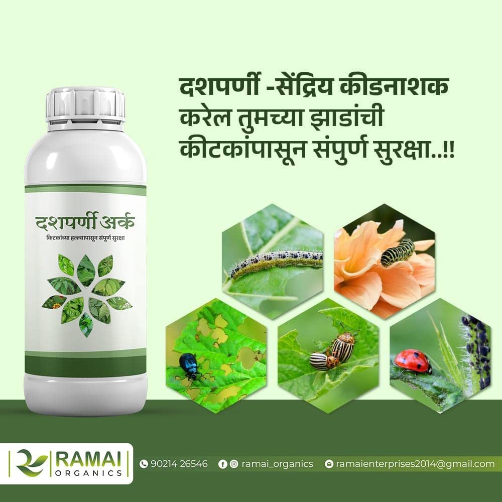 Ramai Dashparni Arka-Protection from pests attack