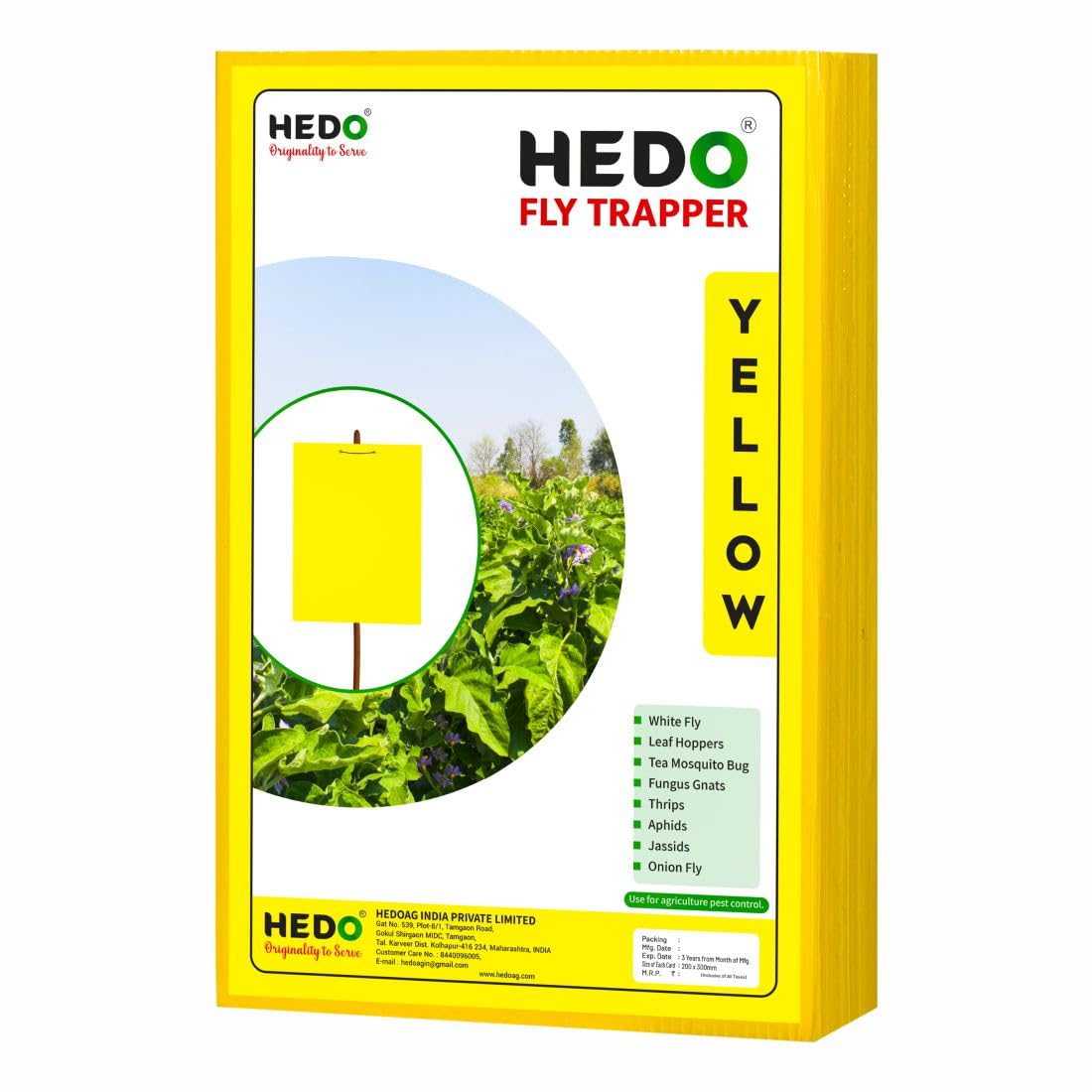 HEDO फ्लाई ट्रैपर A4 पीली शीट, खेती और आउटडोर के लिए कीट पकड़ने वाली शीट थ्रिप्स, एफिड्स और व्हाइटफ्लाई को नियंत्रित करने के लिए 2 का पैक (50 पीस)