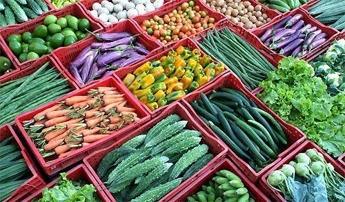 Nilkamal Plastic Rectangular Multipurpose/Vegetable/Fruit/Fish Crate (542 x 360 x 300 mm, Random Colour) Pack of 3