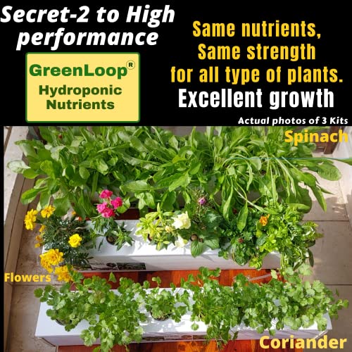 घर के लिए GREENLOOP हाइड्रोपोनिक किट, गहरी 4 इंच गहराई, 6 पौधों के लिए पूर्ण-एयर पंप-पोषक तत्व-बीज-ग्रो प्लग के साथ। 2 फुट लंबा