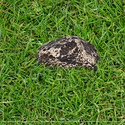 RamPro Hide-a-Spare-Key Fake Rock - Looks & Feels Like Real Stone - Safe for Outdoor Garden or Yard, Geocaching (1)