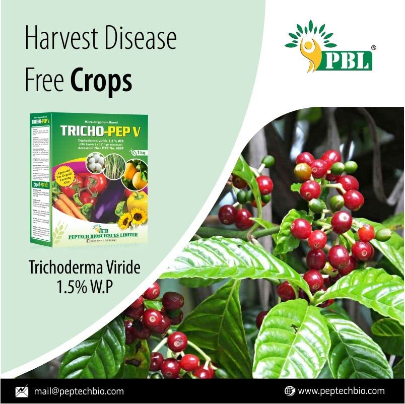 Tricho Pep V (3KG) - (2KG खरेदी करा आणि 1KG मोफत मिळवा) | वनस्पतींसाठी ट्रायकोडर्मा बुरशीनाशक | वनस्पतींसाठी जैव बुरशीनाशक | मातीसाठी जैव कीटकनाशक