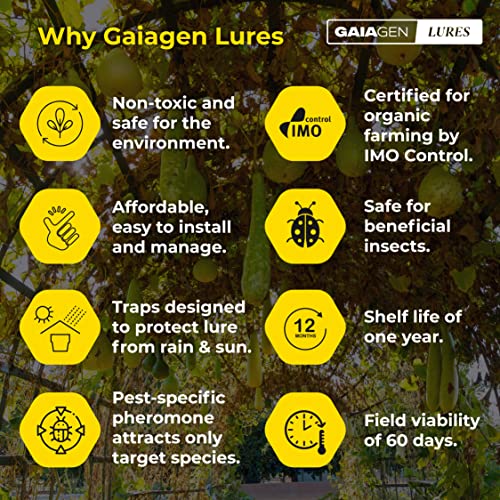 GAIAGEN मेलन फ्लाई ल्यूर कॉम्बो पैक - फेरोमोन ल्यूर मेलन फ्लाई (बैक्ट्रोसेरा कुकुर्बिटा) और इन्सेक्ट फ्लाई ट्रैप के लिए | शामिल है - 10 लालच और 10 जाल