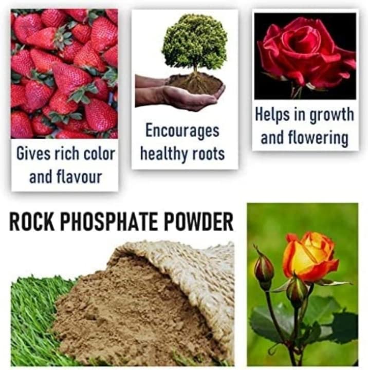 Organic Plant Rock Phosphate Essential Fertilizer All Purpose Powder for Fruiting and Flowering Plants (10)