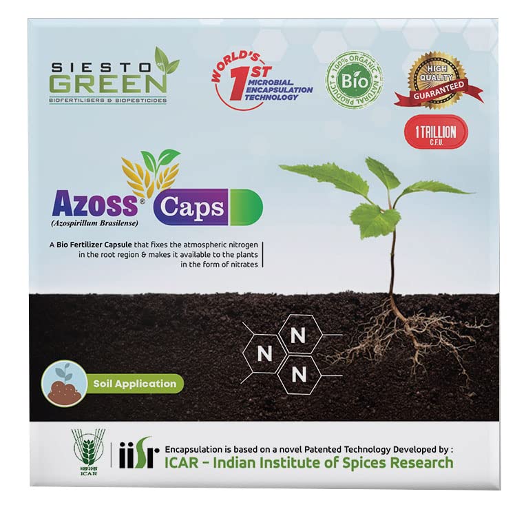 SIESTO GREEN बायोफर्टिलायझर आणि जैव कीटकनाशक अझोस कॅप्स (6 कॅप्सूल)