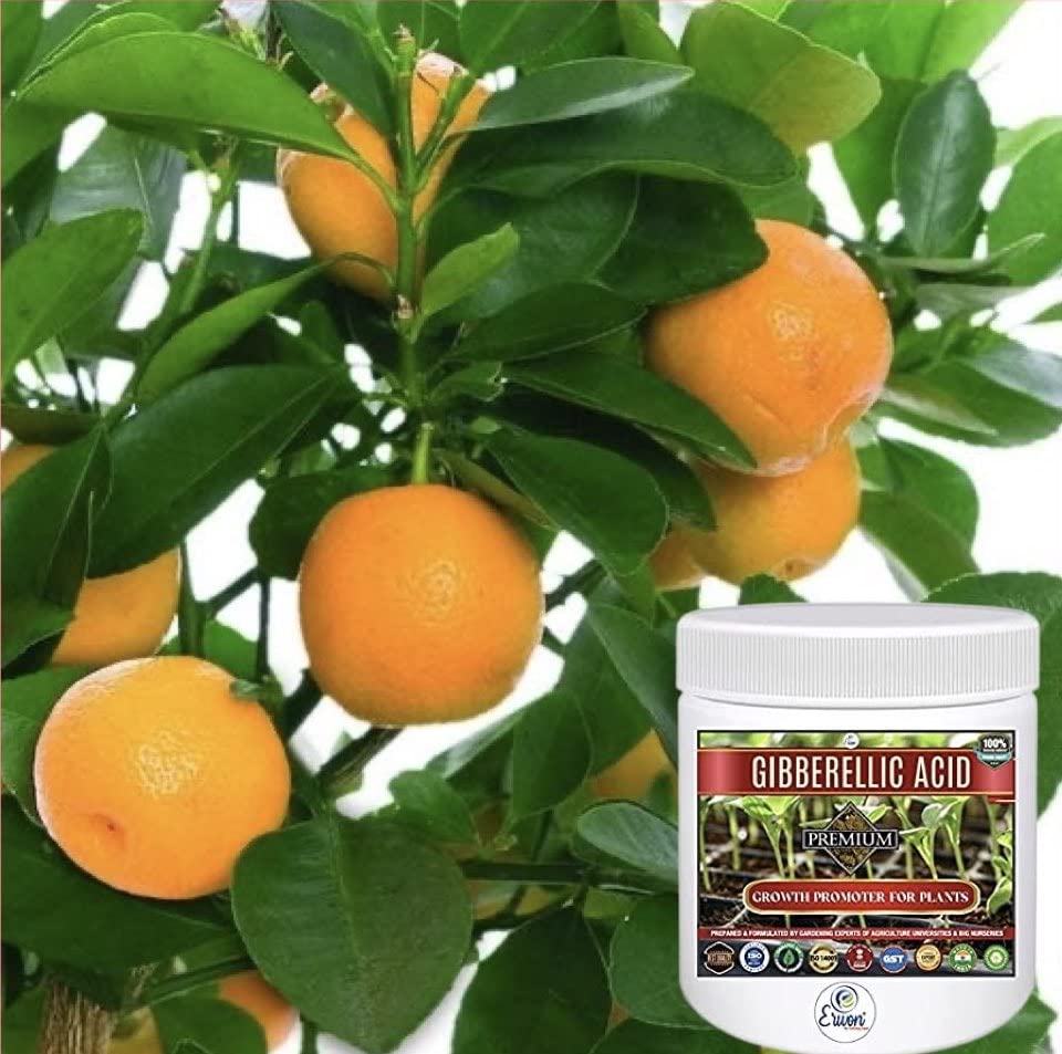 Erwon® Gibberellic Acid, Premium Essential Powerful Organic Growth booster for Plants(10 gm)