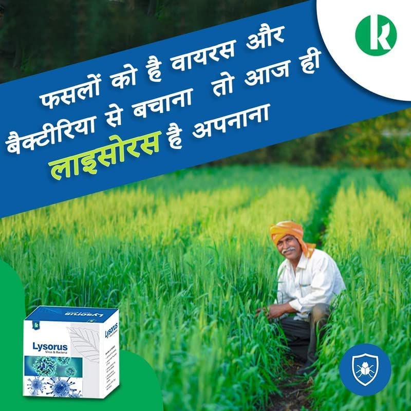 Katra Fertilizers Lysorus (1 Gm +50 Ml), Anti-Virus and Bacteria Virucide for Virus Control and Prevention, Agriculture, Bio Pesticide for Garden Used in Farms (Pack of 6)