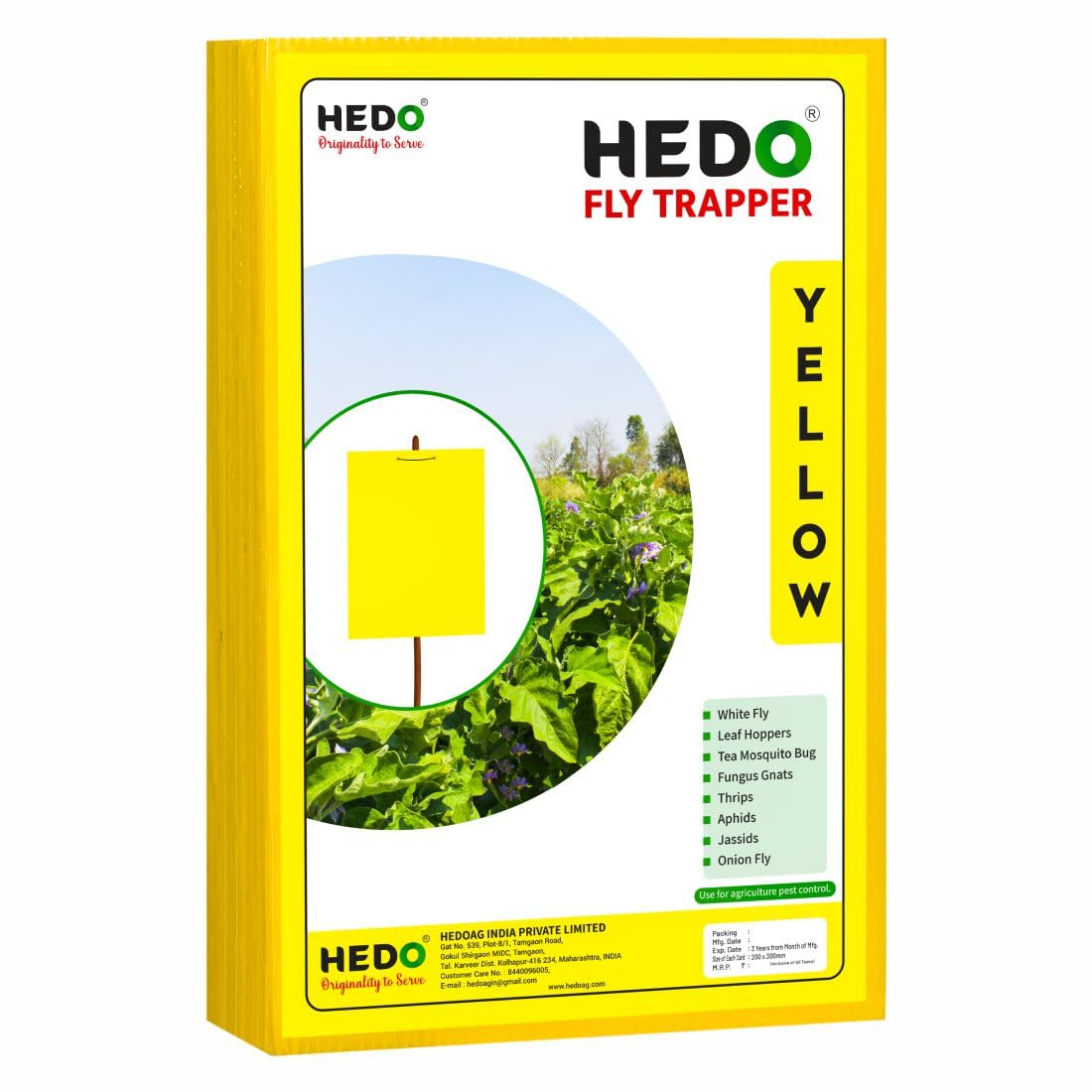 HEDO फ्लाई ट्रैपर A4 पीली शीट, खेती और आउटडोर के लिए कीट पकड़ने वाली शीट थ्रिप्स, एफिड्स और व्हाइटफ्लाई को नियंत्रित करने के लिए 2 का पैक (50 पीस)