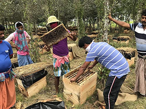 indigenous honey
