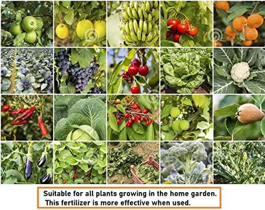 एग्रीकेयर ट्राई 20 एनपीके 20 20 20 पौधों के लिए उर्वरक | विकास को बढ़ावा देने और अधिकतम उत्पादन के लिए संपूर्ण पादप खाद्य एनपीके उर्वरक | घर, बगीचे और बाहरी पौधों की देखभाल के लिए आदर्श - 1 किलो