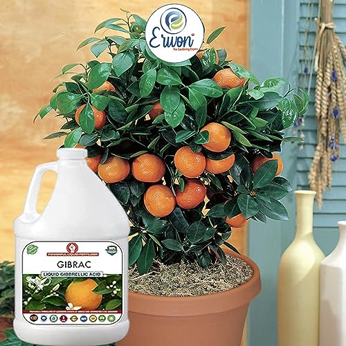 Erwon® Gibrac, Liquid Gibberellic acid Fertilizer for better growth of plants, fruits and vegetables. (500 ml)
