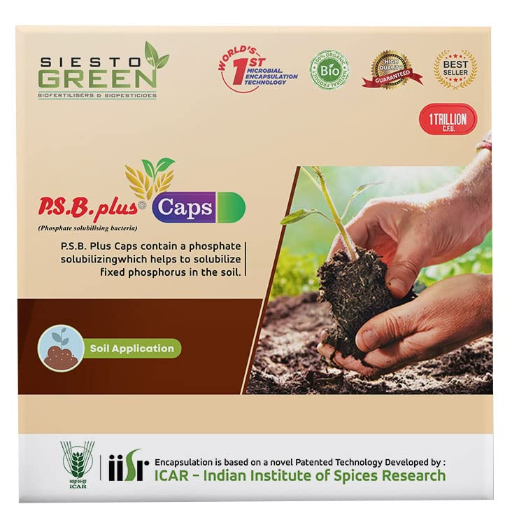 SIESTO GREEN Biofertilizer and Biopesticide PSB Plus Caps ( 6 Capsules)