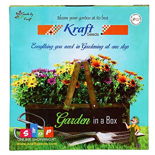 Kraft Seeds सीडलिंग ट्रे (5 का पैक, काला) | सीडलिंग के लिए अंकुरण ट्रे | बगीचे के पौधों के लिए नर्सरी ट्रे | होम गार्डन के लिए दोबारा इस्तेमाल होने योग्य हाइड्रोपोनिक अंकुरण ट्रे | बीज बोने के लिए अंकुरण बर्तन
