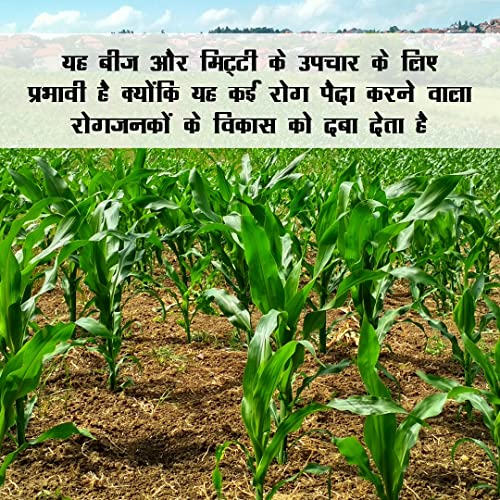 ट्रायकोडर्मा विराइड अँटी फंगल जैव खत (1 किलो)
