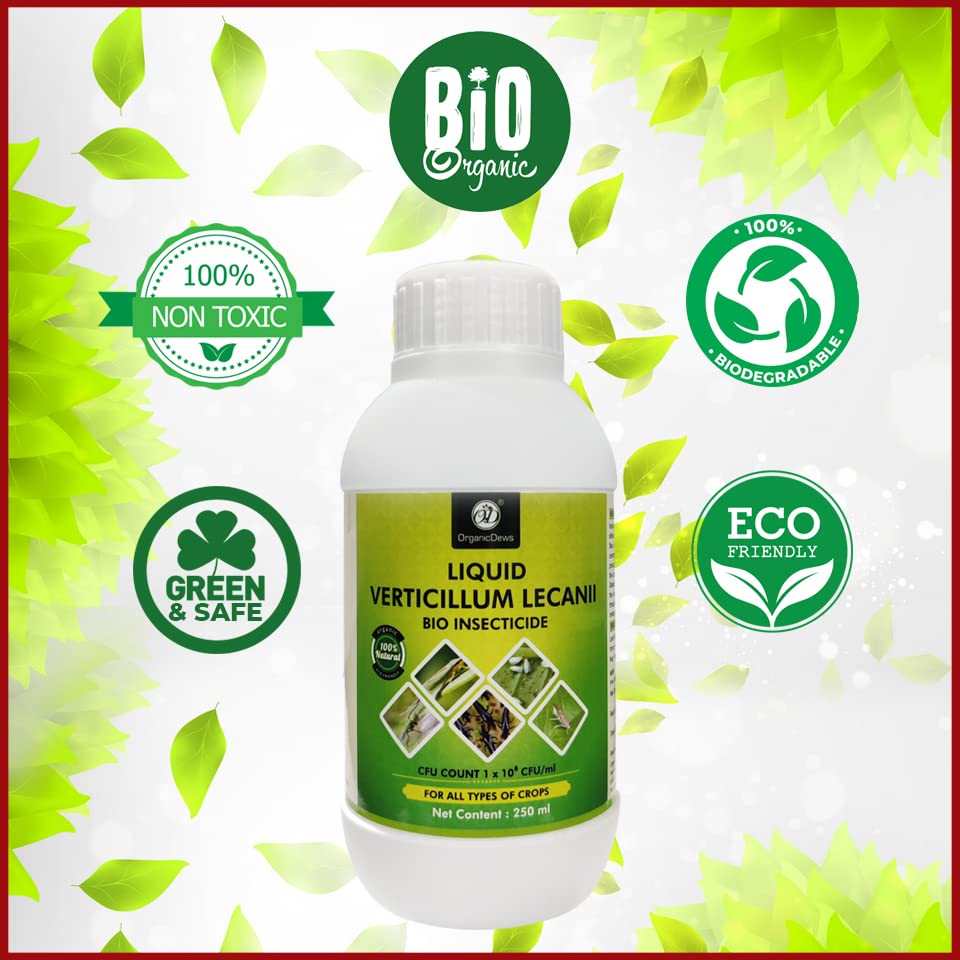 OrganicDews Liquid Verticillum lecanii (1x10^8 CFU/ml) 250 ml with Measuring Cup 25 ml - Bio Insecticide for Plants - Against Sucking Insects Like Aphids, Thrips and Whiteflies 250 ml