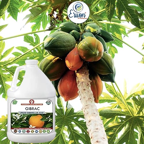 Erwon® Gibrac, Liquid Gibberellic acid Fertilizer for better growth of plants, fruits and vegetables. (500 ml)