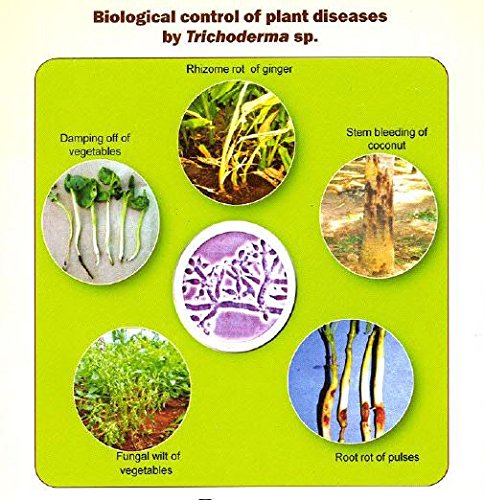 Organic Trichoderma viride -400gms + Pseudomonas fluorescens 400gms Combo Offer - Kerala Agro Organics