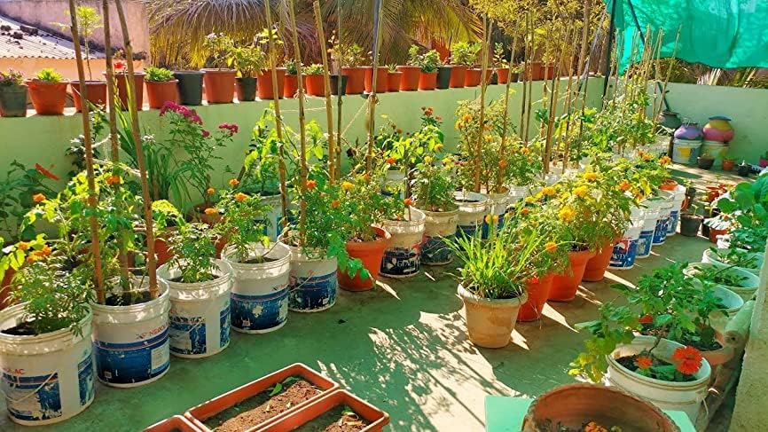 एरीज़ एग्रो फ़र्टिमैक्स 0.52.34 निःशुल्क दस्तानों के साथ