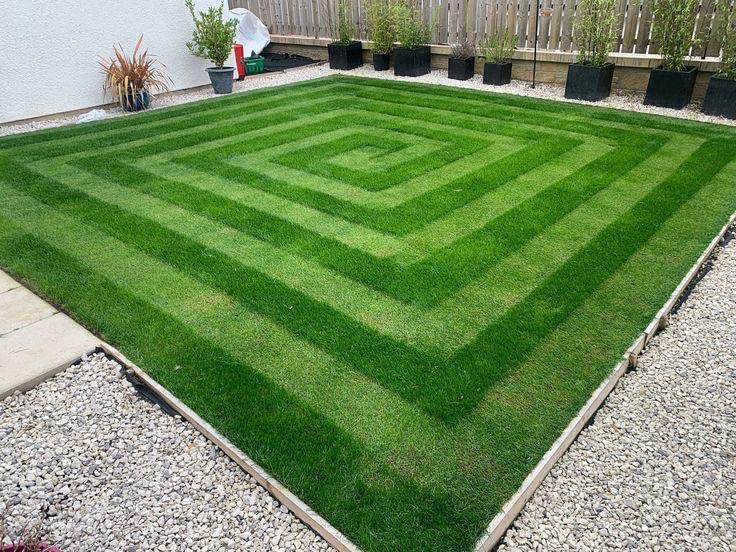 RADHA KRISHNA AGRICULTURE Nilgiri Lawn Grass Seeds for Planting fast growing and drought resistant | Grass Seed for garden, lawn, sport Ground Pack of 200 gram