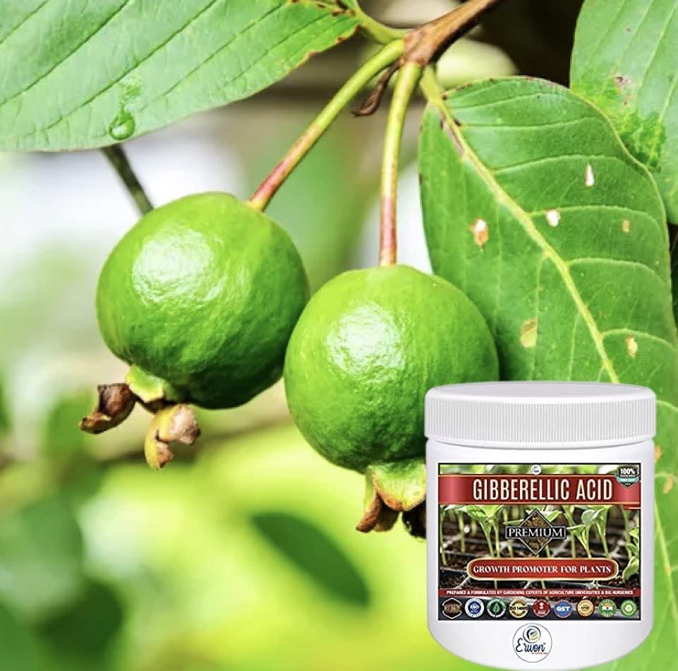 Erwon® Gibberellic Acid, Premium Essential Powerful Organic Growth booster for Plants(10 gm)