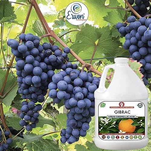 Erwon® Gibrac, Liquid Gibberellic acid Fertilizer for better growth of plants, fruits and vegetables. (500 ml)
