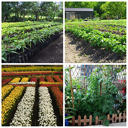 3NH® Gibberellic Acid Liquid 20ml 920 Plants Growth Regulator Break Sleep Fertilizer Production Increasing for Farm Garden shown Liquid