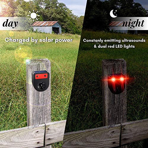 LOMEREY Pack of 4 Soar Powered Deer Chaser Light Nocturnal Animal Deterrent Scares Coyote Fox Racoon Skunk Nighttime Animal from Garden, Yard, Chicken Coop