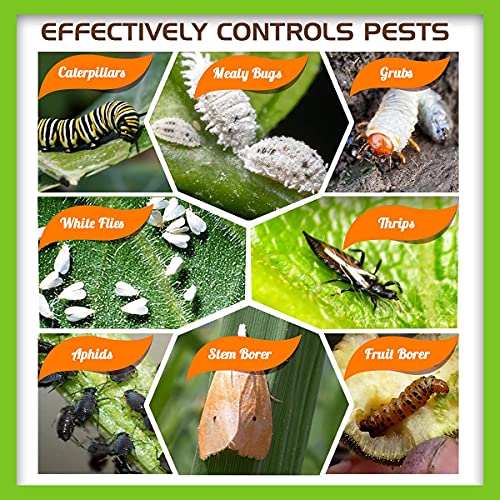 Atmanam Natural & Organic Beauveria Bassiana (1x10^8 CFU/g) Bio Insecticide Potting Mixture (8)