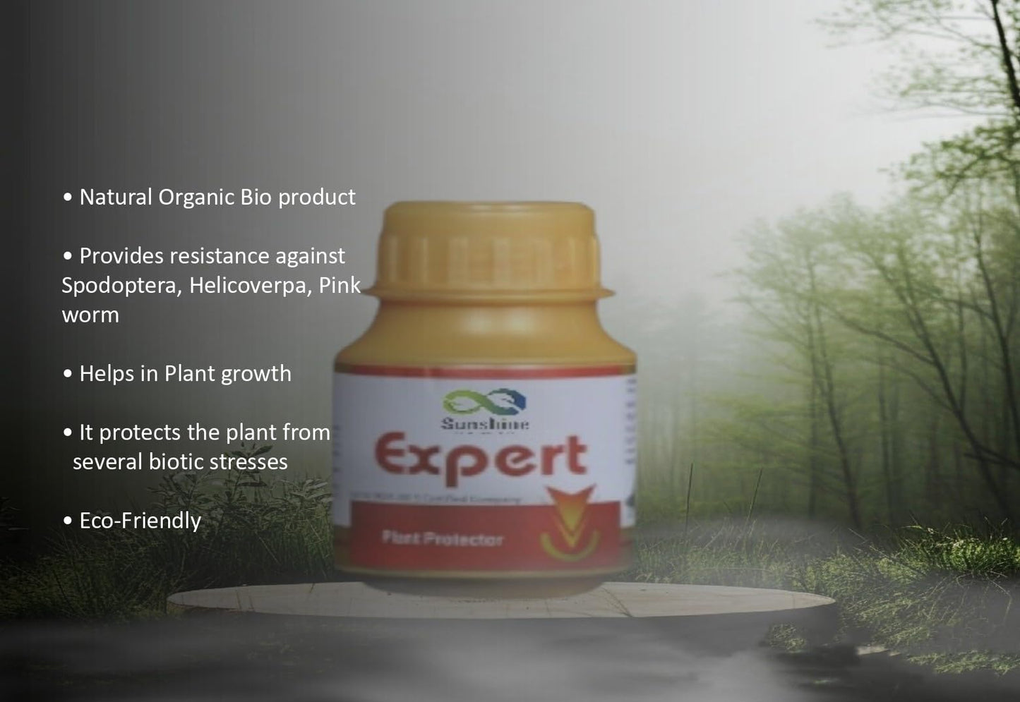 विशेषज्ञ