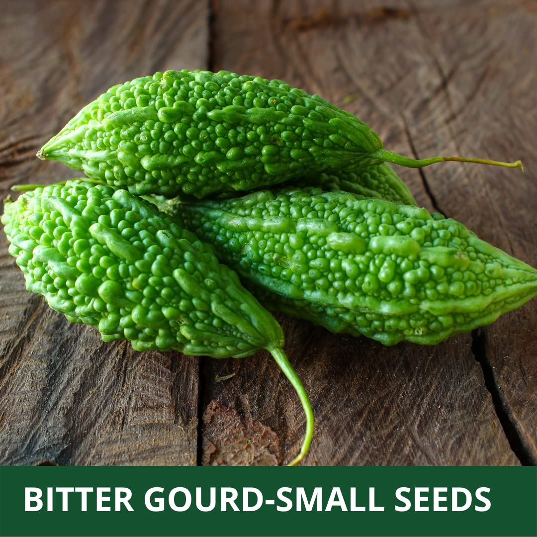 kitchen garden karela seeds