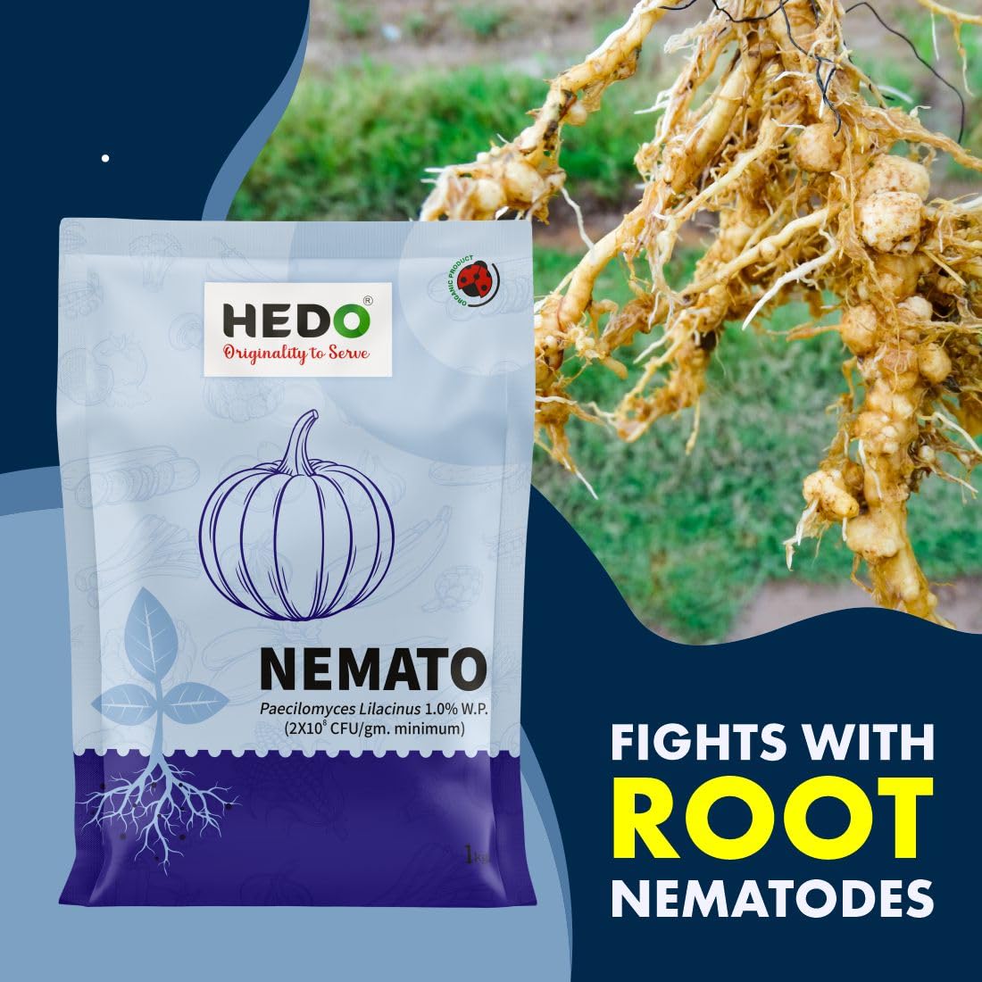 HEDO नेमाटो (पैसिलोमाइसेस लिलासिनस 2x10^8 CFU/g) जैव-कार्बनिक पाउडर (1Kg) बीज और बगीचे के पौधों के लिए - विभिन्न नेमाटोड के खिलाफ
