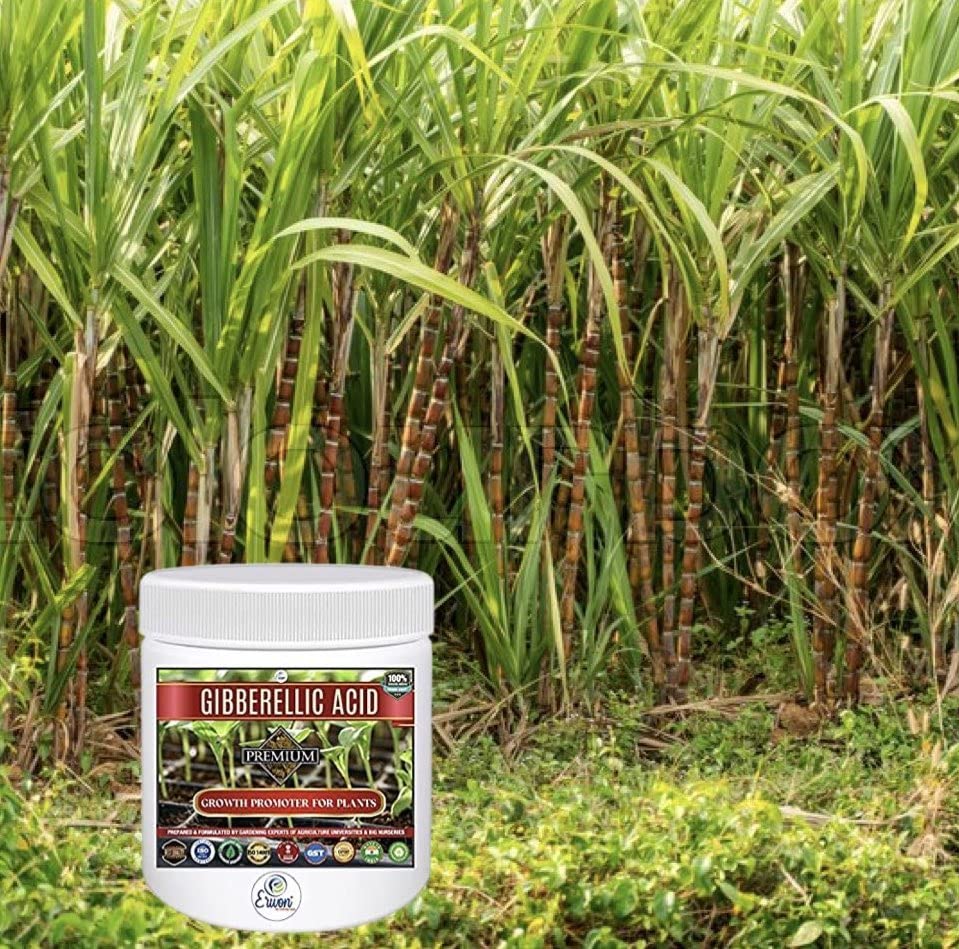 Erwon® Gibberellic Acid, Premium Essential Powerful Organic Growth booster for Plants(10 gm)