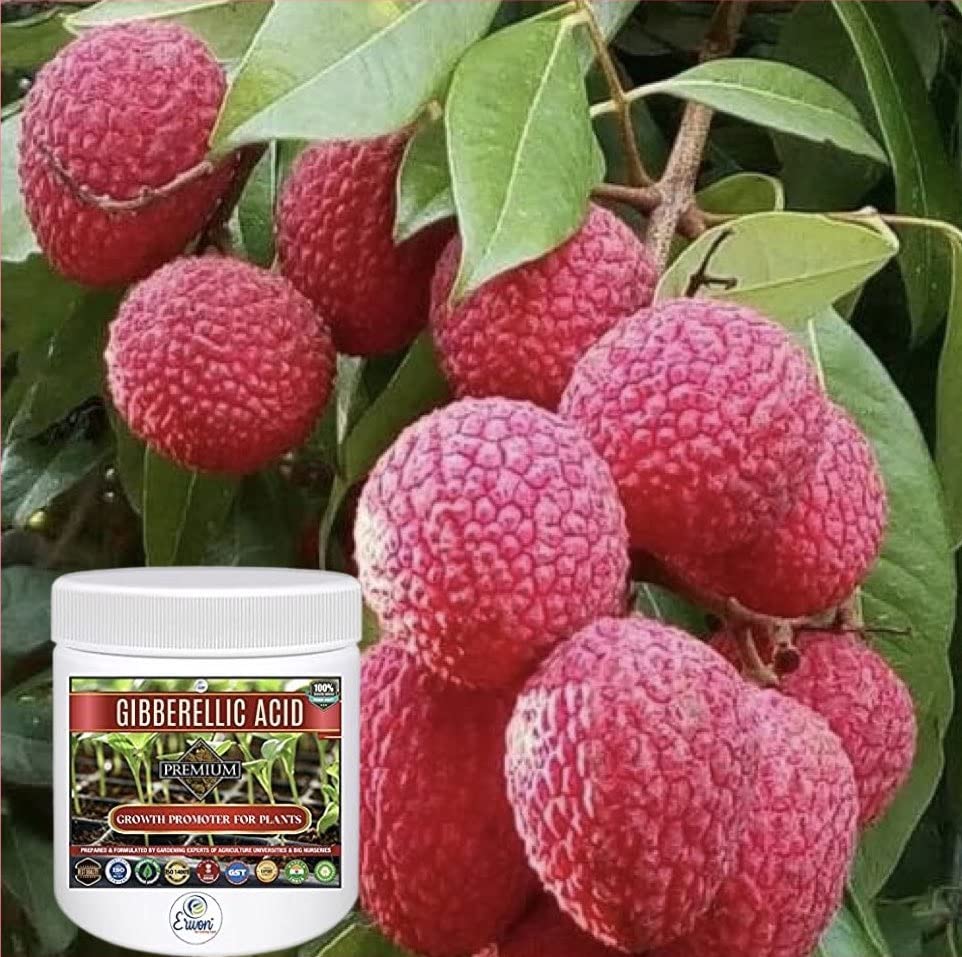 Erwon® Gibberellic Acid, Premium Essential Powerful Organic Growth booster for Plants(10 gm)