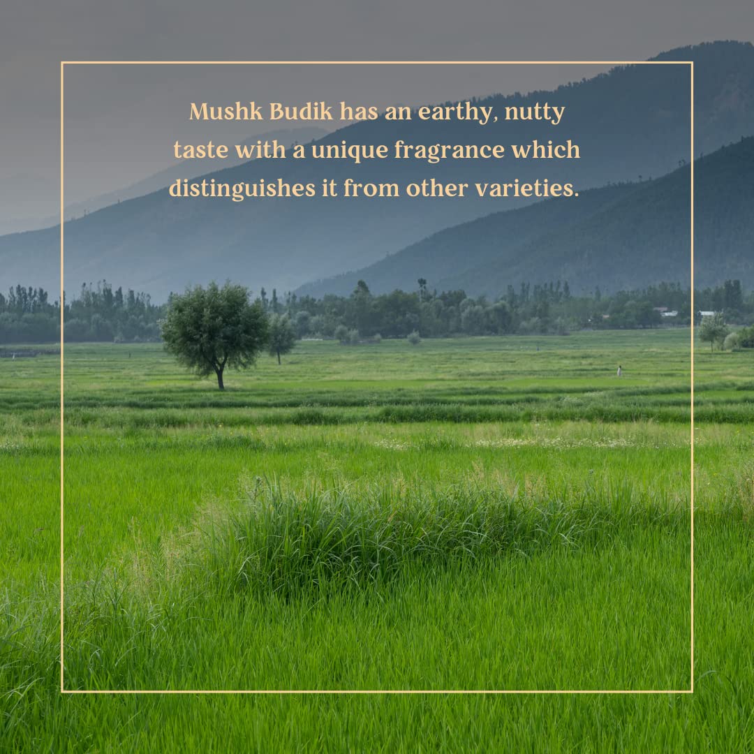 KANZ & MUHUL Natural Premium (2 Kg) Pure Mushk Budij Kashmiri Aromatic Rice Naturally Aged, Rich Aroma, Natural Scented Perfect Fit For Everyday | Highly Nutritious, Delicious Natural Fragrance Mushk Budij Kashmiri Aromatic Rice Basmati Rice 2 Kg