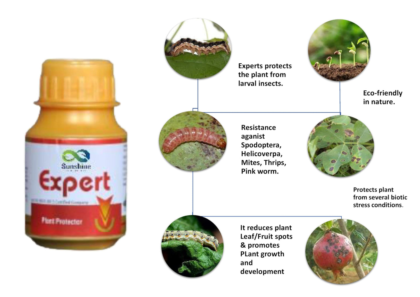 Expert Plant protection