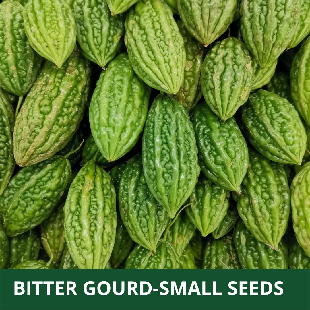 karela seeds for home garden