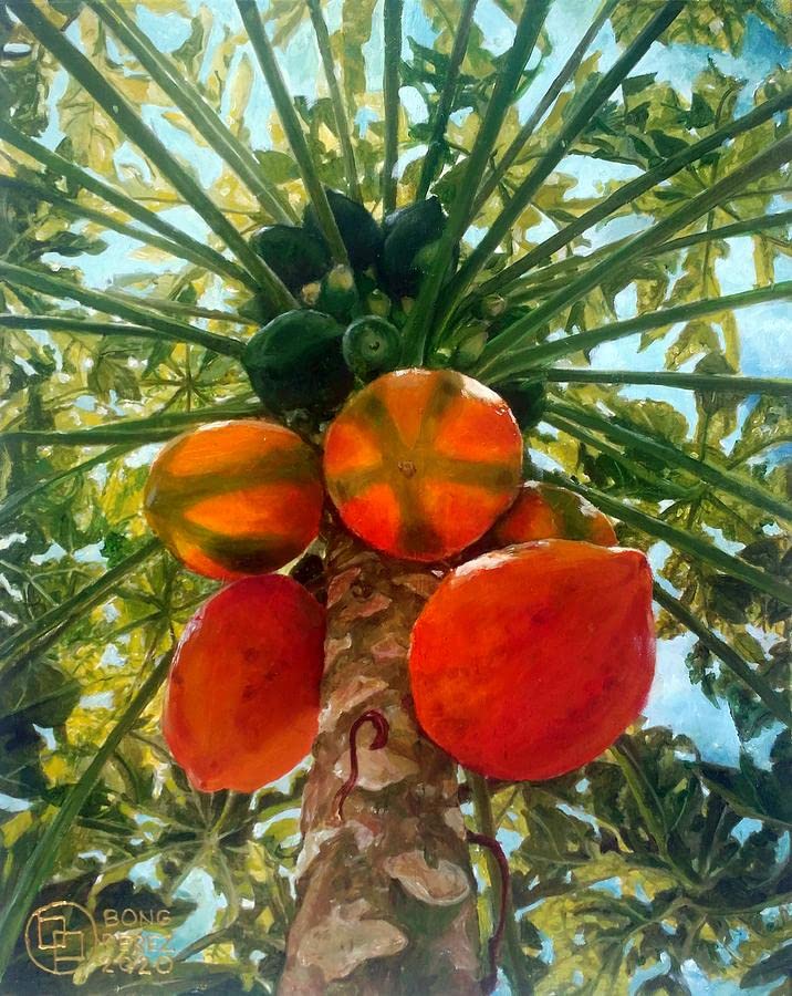 papaya seeds