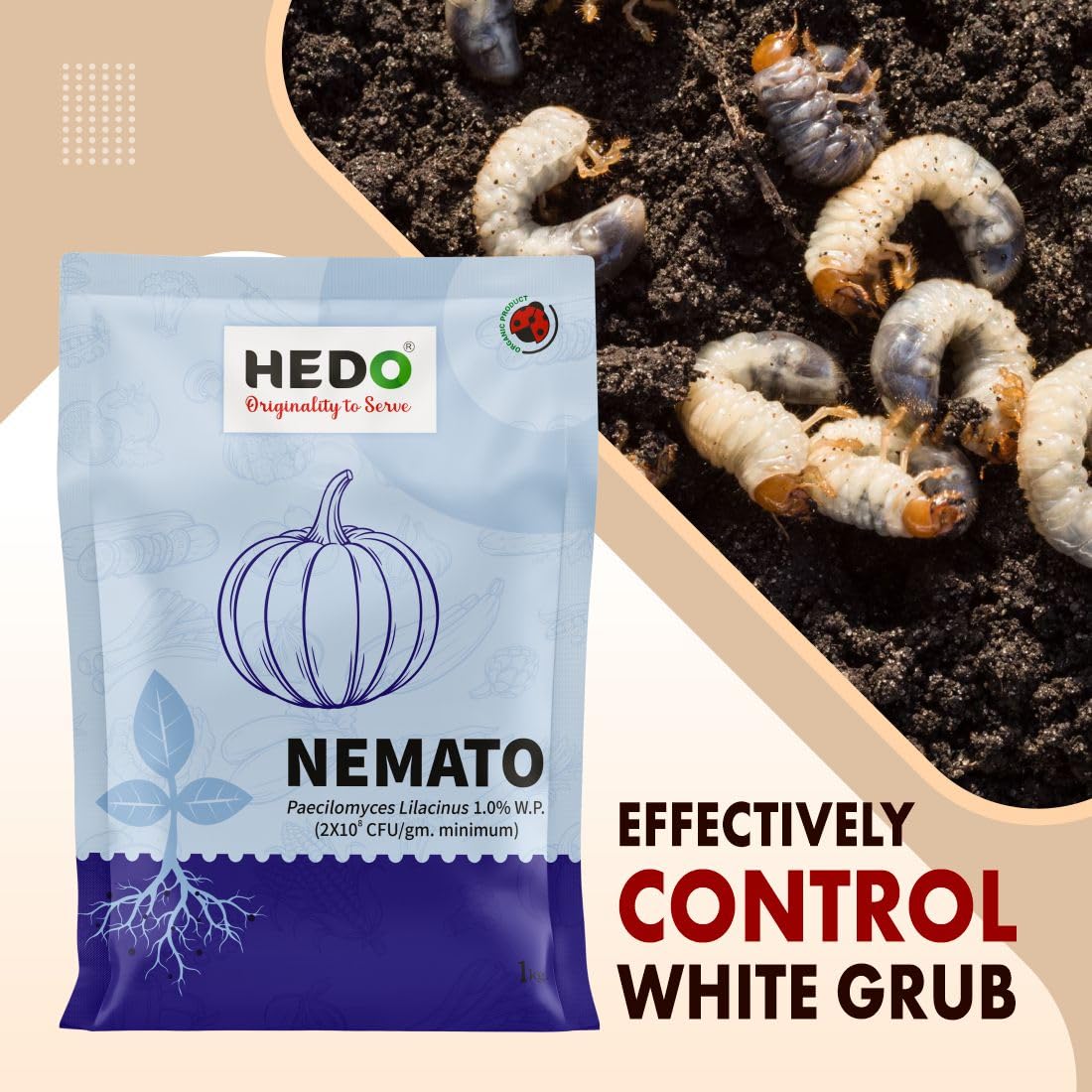 HEDO नेमाटो (पैसिलोमाइसेस लिलासिनस 2x10^8 CFU/g) जैव-कार्बनिक पाउडर (1Kg) बीज और बगीचे के पौधों के लिए - विभिन्न नेमाटोड के खिलाफ