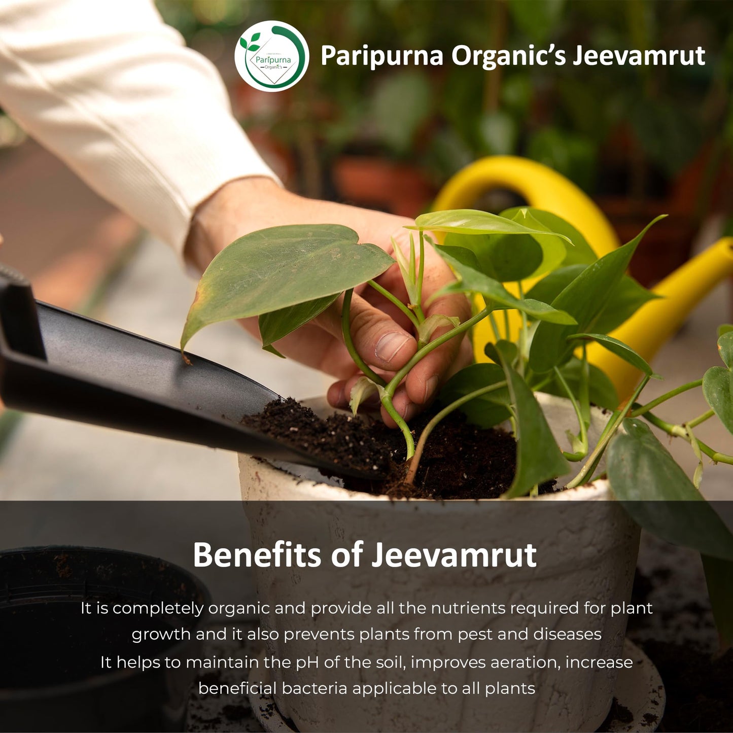 Paripurna Organics Jeevamrutham Organic Plant Growth and Immunity Booster Natural Plant Liquid Fertilizer for All Plant (8.5 Litre)